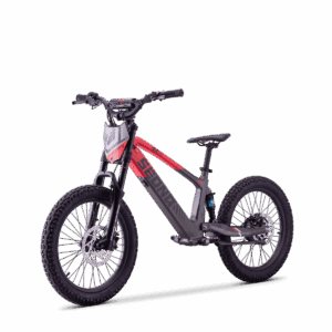 Draisienne Électrique Sedna SX 20"