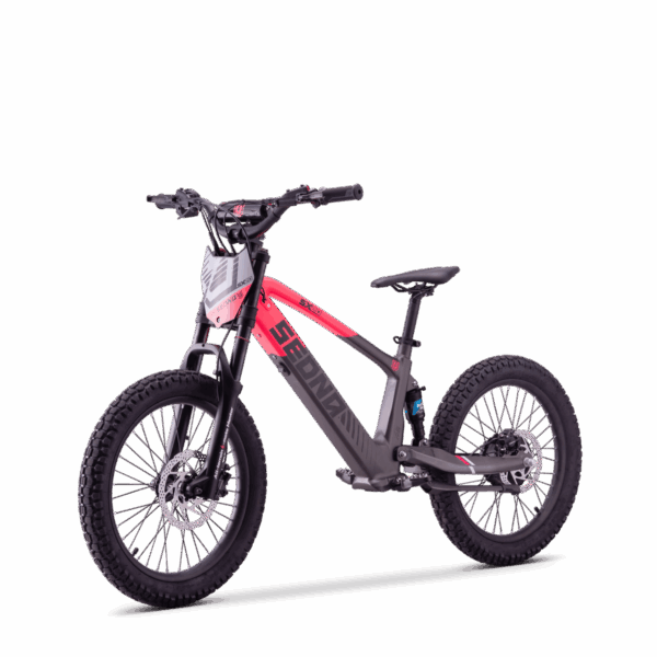 Draisienne Électrique Sedna SX 20"