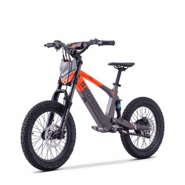 Draisienne Électrique Sedna SX 18"