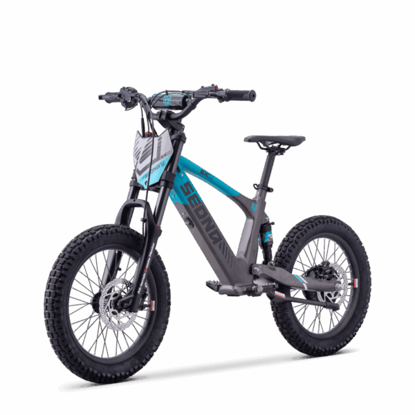 Draisienne Électrique Sedna SX 18"
