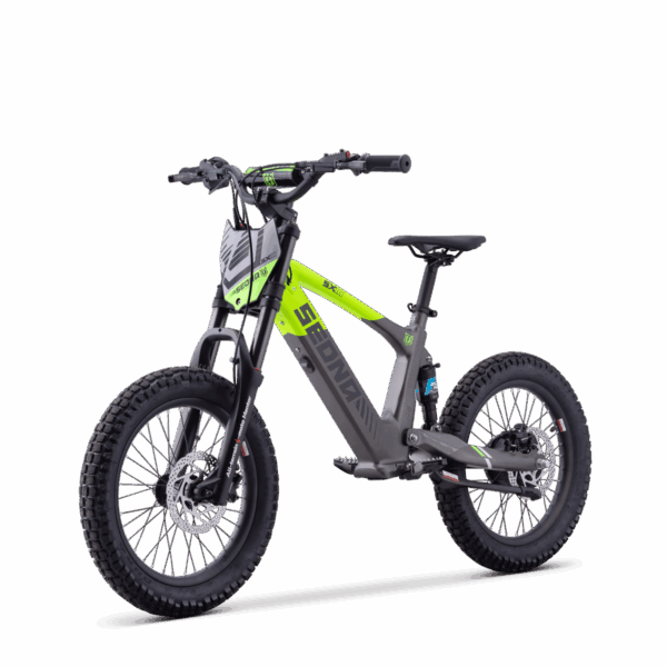 Draisienne Électrique Sedna SX 18"