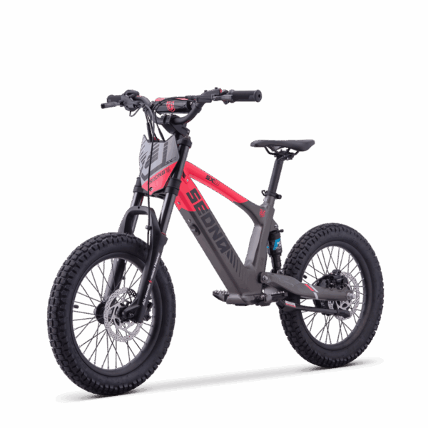 Draisienne Électrique Sedna SX 18"
