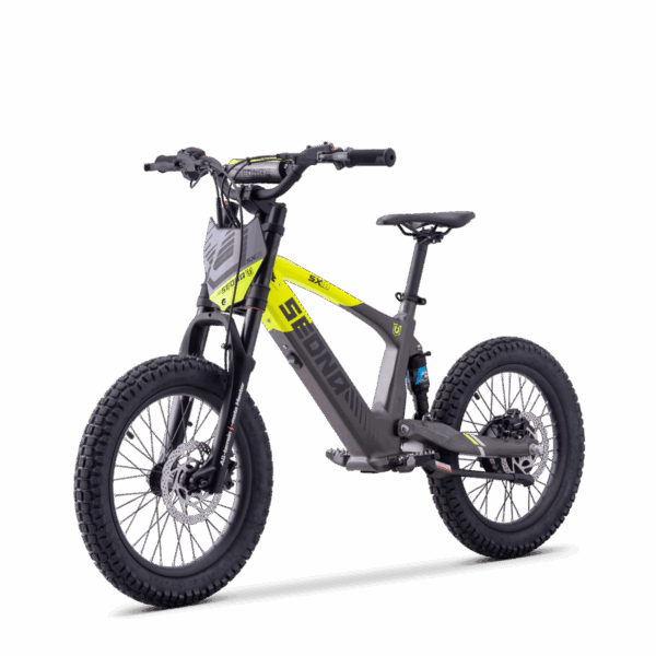 Draisienne Électrique Sedna SX 18"