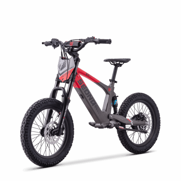 Draisienne Électrique Sedna SX 18"