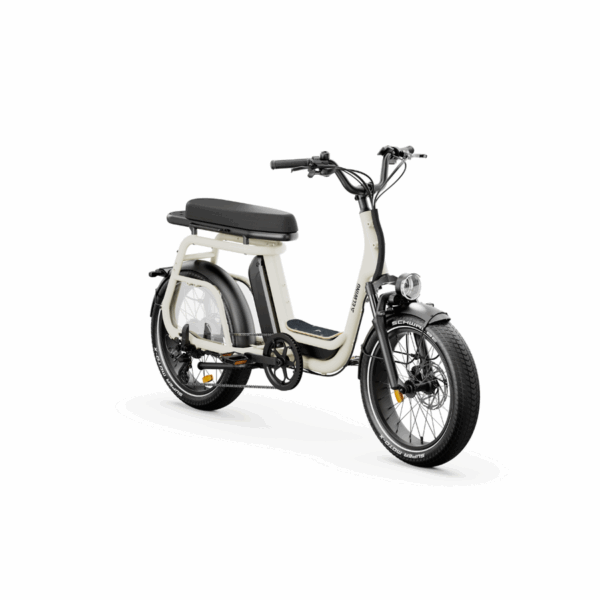 Ritmic Duo - Cargo biplace