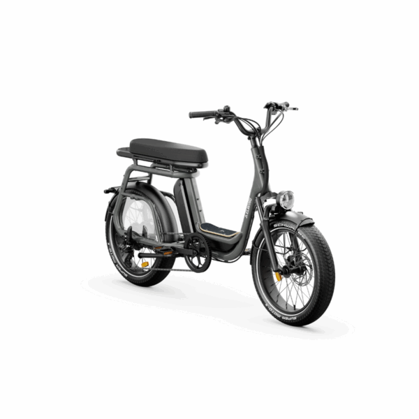 Ritmic Duo - Cargo biplace
