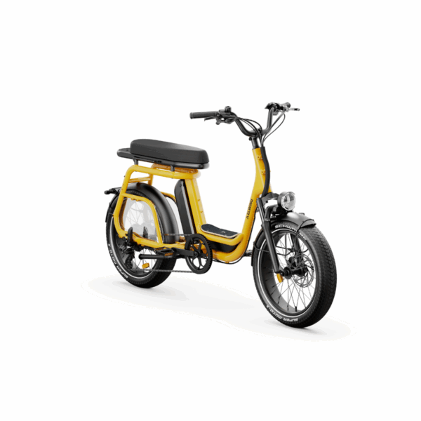 Ritmic Duo - Cargo biplace