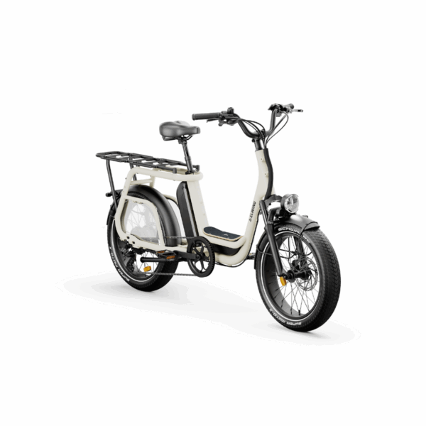 Ritmic Jumbo | Cargo longtail