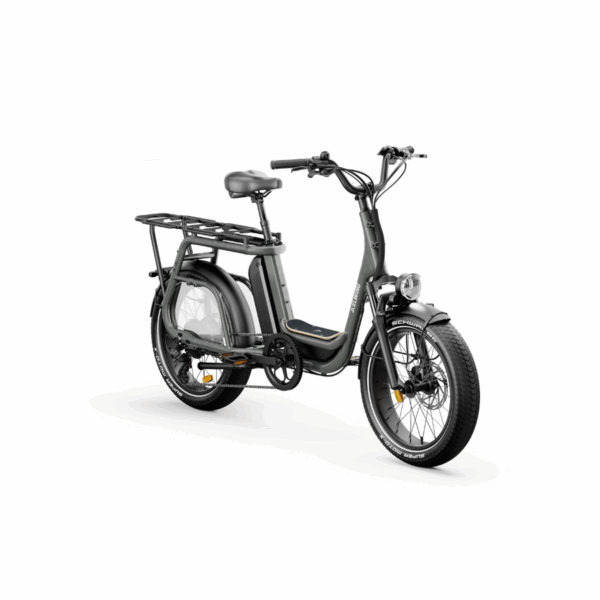 Ritmic Jumbo | Cargo longtail
