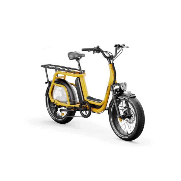Ritmic Jumbo | Cargo longtail