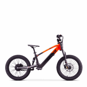 Draisienne Sedna SX 20" | Orange