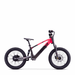 Draisienne Sedna SX 20" | Rose