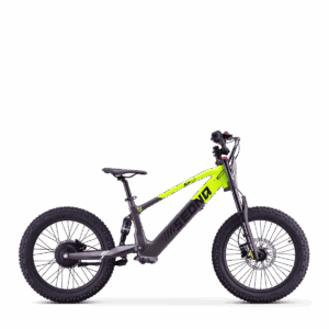 Draisienne Sedna SX 20" | Vert