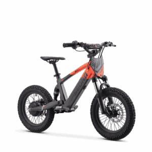 Draisienne Électrique Sedna SX 16"