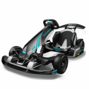 Segway Gokart Pro 2